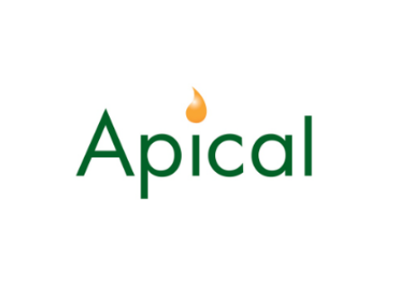 Apical Apical